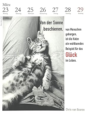 der literarische katzenkalender 2026 schoeffling maerz