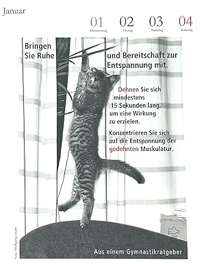 der literarische katzenkalender 2026 schoeffling januar