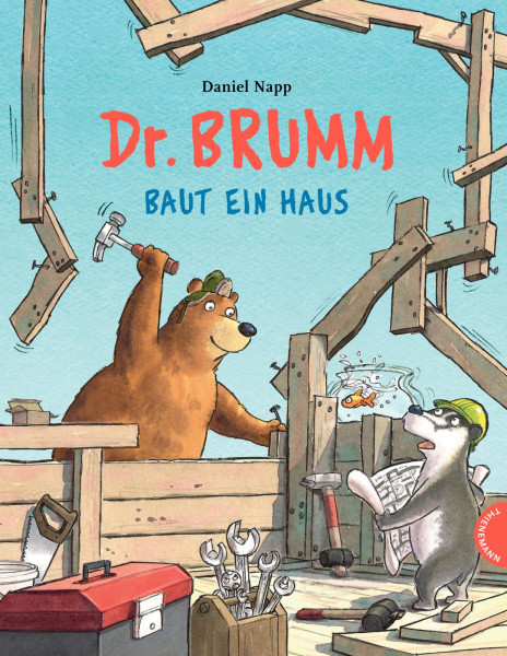 Dr. Brumm baut ein Haus (Buch)